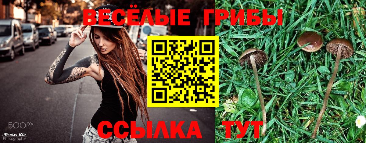 Псилоцибиновые грибы MAGIC MUSHROOMS  Вход с VPN  Саранск 
