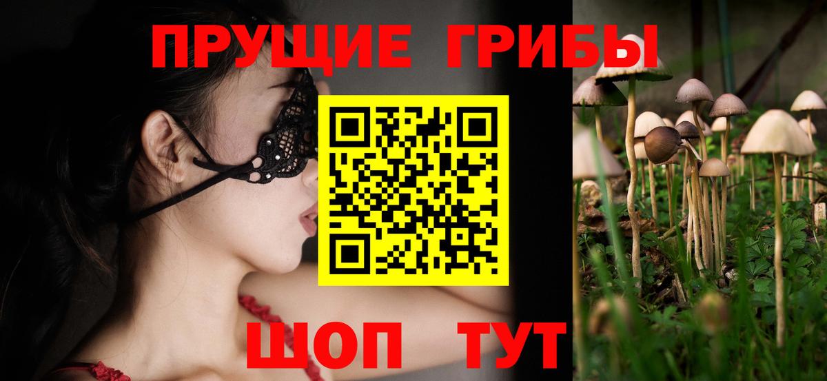 Псилоцибиновые грибы Psilocybe Саранск